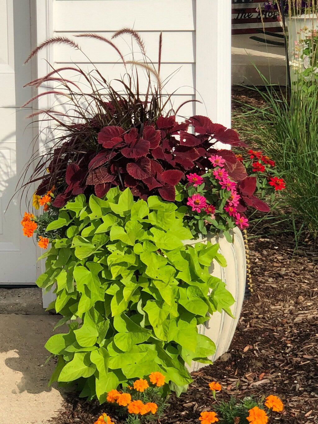 outdoor potted flowers and plants
