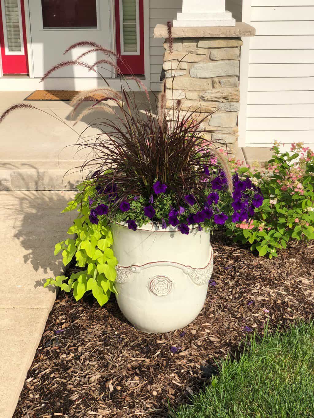 outdoor potted plants