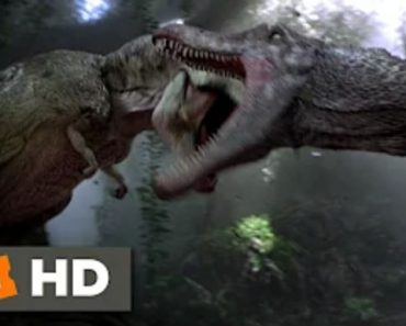 T-Rex vs spinosaurus in Jurassic Park 3 (3.10) Movie CLIP