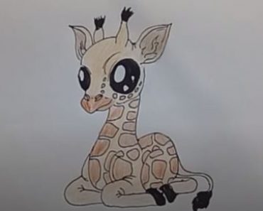 How To Draw A Giraffe Step by Step