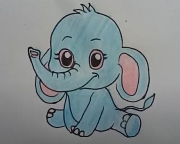 How to draw a baby Elephant Step by Step