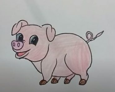 How to draw a cute Pig Step by Step