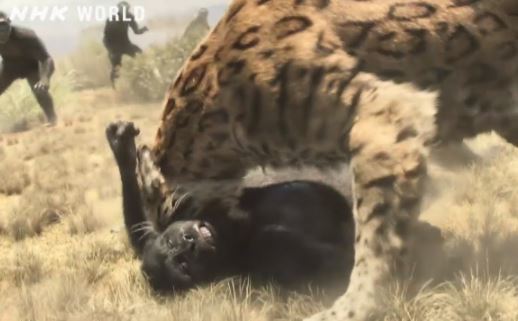 Human evolutionary history africa 2.7 million years ago - Banding Together to Survive