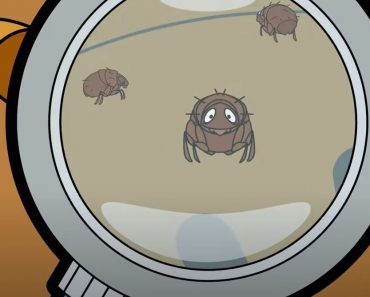 Funny Bean vs Bug – Mr Bean cartoon for kids