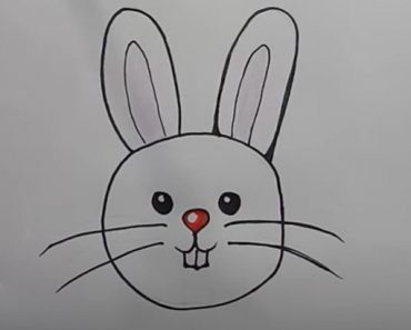 How to Draw a Rabbit Face Easy