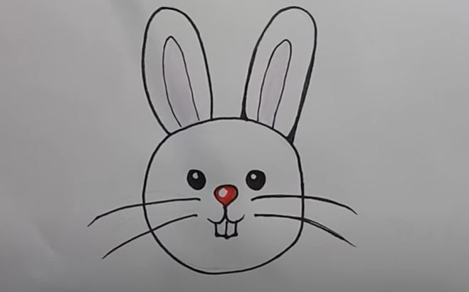 How to Draw a Rabbit Face Easy