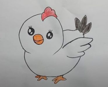How to draw a cartoon Chicken Step by Step
