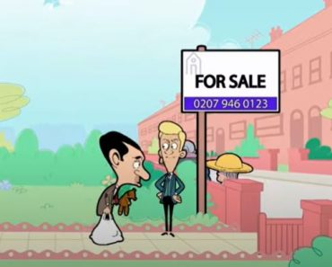 Mr Ben for Sale