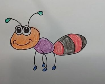 How to draw a cartoon Ant Step by Step