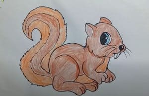 How to draw a squirrel step by step