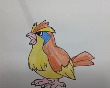 Pokemon Drawing: How To Draw Pidgey Easy step by step