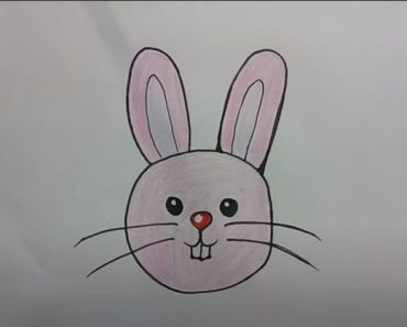 How to Draw a Cartoon Rabbit Easy  Step by step