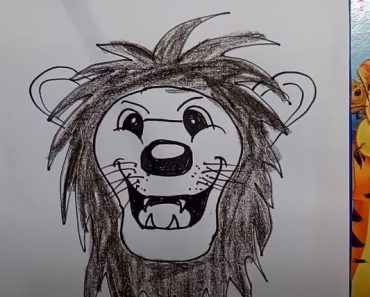 How to draw a lion