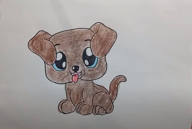 how to draw a cute puppy