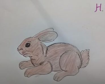 How To Draw A Rabbit Cute Easy Step By Step
