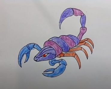 How To Draw A Scorpion