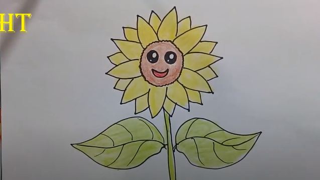 How To Draw A Sunflower 