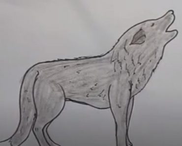 How To Draw A Wolf Easy Step By Step