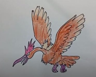 How To Draw Fearow From Pokemon