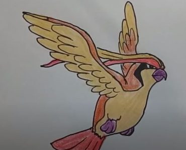 How To Draw Pidgeot From Pokemon Easy Step By Step