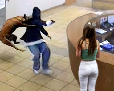 Hero Animals that Saved Human Lives