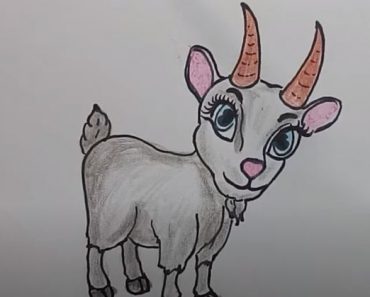 How To Draw A Cute Goat Easy Step By Step