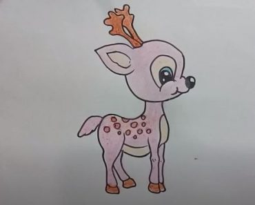 How To Draw A Deer Cute And Easy Step By Step