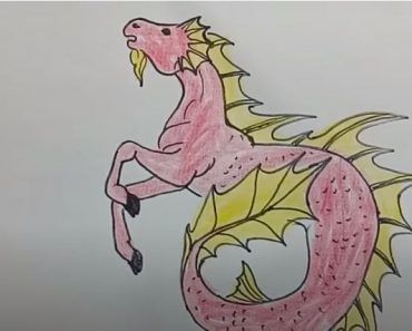 How To Draw A Hippocampus Easy Step By Step