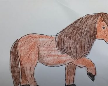 How To Draw A Pony Cute Easy Step By Step