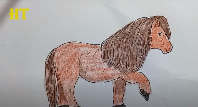 How To Draw A Pony Cute Easy Step By Step