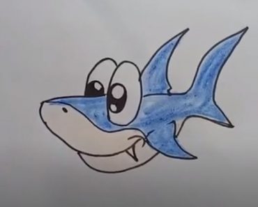 How To Draw A Shark Cute And Easy Step By Step