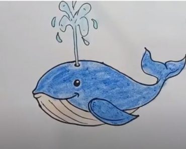 How To Draw A Whale Easy Step By Step