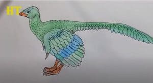 How To Draw Archaeopteryx Easy Step By Step