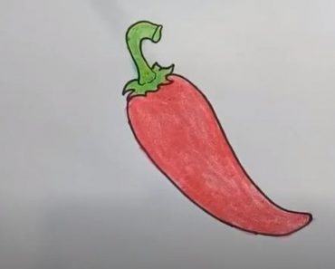 How To Draw Chili Peppers Easy Step By Step