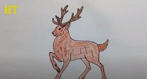 How To Draw Reindeer Easy Step By Step