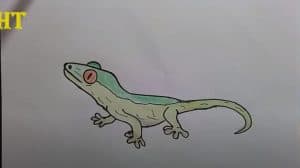 How To Draw a Leopard Gecko Easy step by step