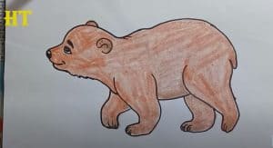 How To Draw A Bear Cute with this how-to video and step-by-step drawing instructions. Easy animals to draw for beginners and kids.