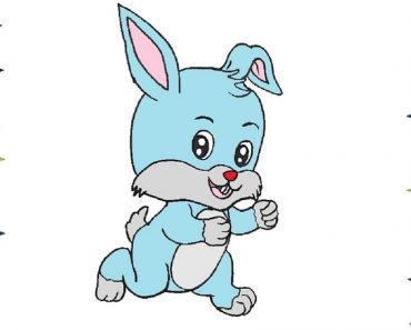 How To Draw A Baby Rabbit Easy Steo By Step | Cute rabbit drawing