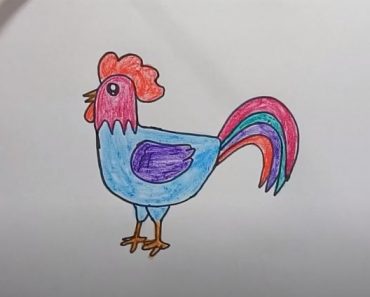How To Draw A Chicken Easy Step By Step