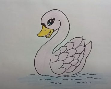 CHow To Draw A Swanute Step By Step | Animals drawing