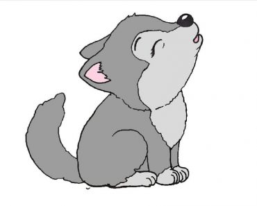 How To Draw A Wolf Pup Easy Step By Step | Baby wolf drawing easy