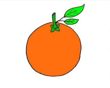 How To Draw Orange Step By Step – Easy Fruits drawing