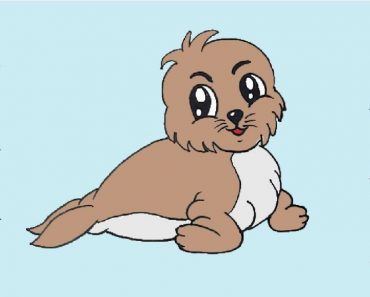 How To Draw A Baby Seal Cute And Easy Step By Step – Seal drawing