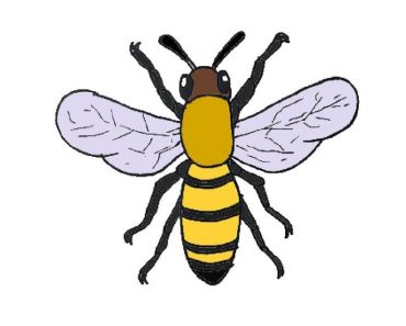 How To Draw A Bee Step By Step | Bee drawing easy