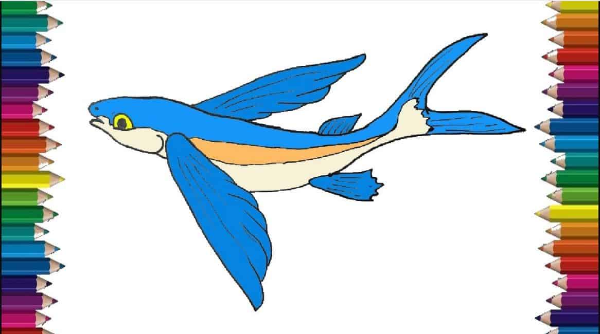 How To Draw A Flying Fish Step By Step