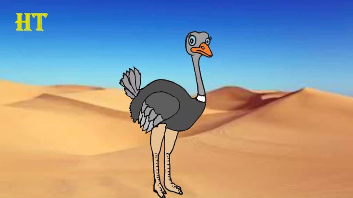How To Draw An Ostrich Cut Step By Step