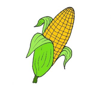 How To Draw A Corn Easy StepBy Step