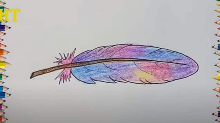 How To Draw A Feather Easy Step By Step