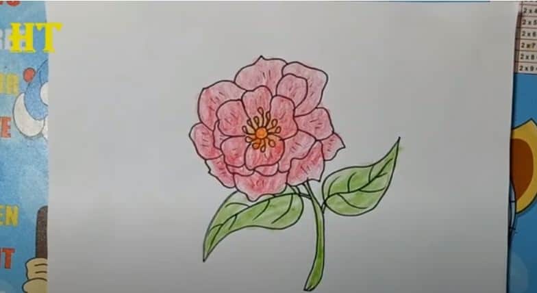 How To Draw A Peony Flower Easy Step By Step