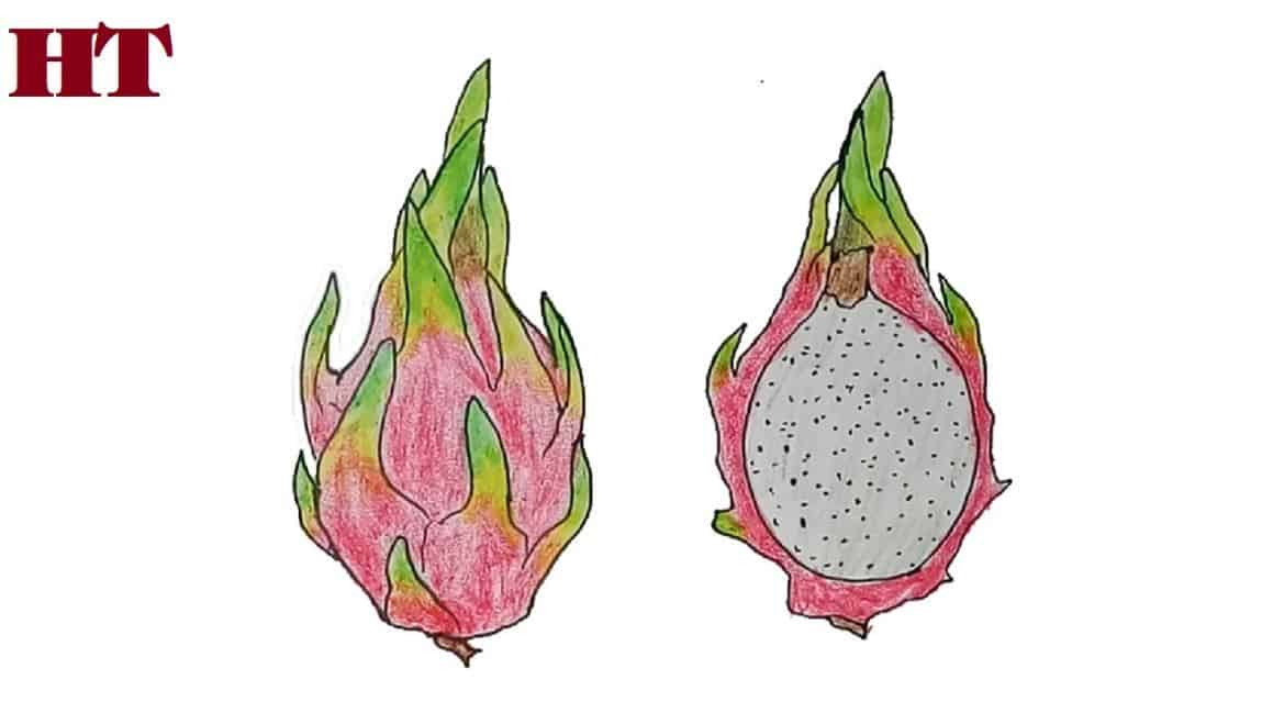 How To Draw Dragon Fruit Easy Step By Step